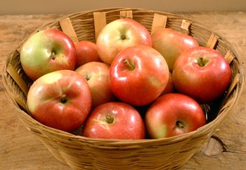 Swedish Apple Pie.jpg